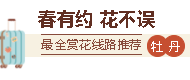 赏花线路推荐｜来菏泽，以赏花之名！